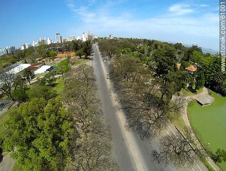 Avenida Herrera y Reissig - Departamento de Montevideo - URUGUAY. Foto No. 61001