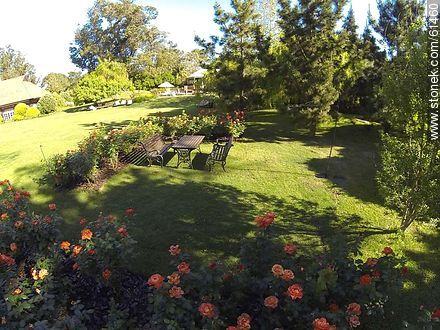 Garden and roses - Punta del Este and its near resorts - URUGUAY. Photo #61460