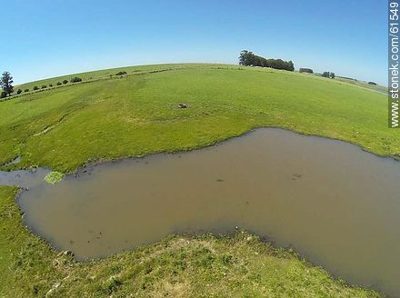 Watery in the field -  - URUGUAY. Photo #61549