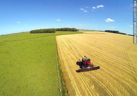 Aerial photo of a combine in a wheat field - Durazno - URUGUAY. Photo #61584