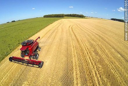 Aerial photo of a combine harvester in a wheat field -  - URUGUAY. Photo #61605