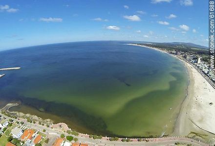 Foto aérea de la playa de Piriápolis - Departamento de Maldonado - URUGUAY. Foto No. 61688