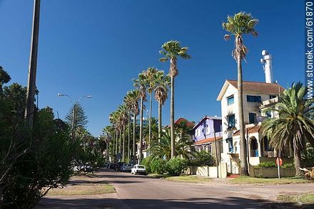 Casas de la Rambla con altas palmeras - Departamento de Canelones - URUGUAY. Foto No. 61870