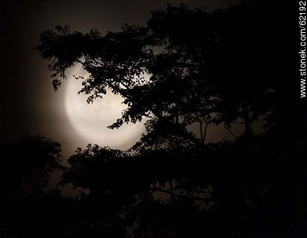 Full moon in the mist -  - MORE IMAGES. Photo #62192