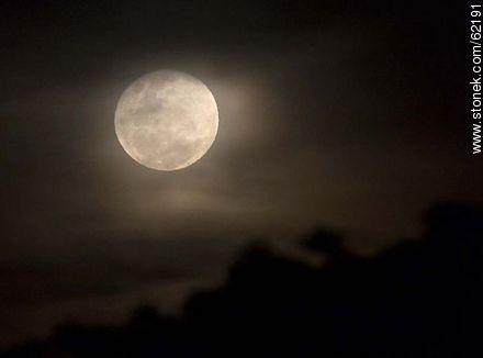 Luna llena entre la niebla -  - IMÁGENES VARIAS. Foto No. 62191
