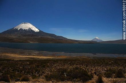 Snowy Volcano Parinacota and Lake Chungará - Chile - Others in SOUTH AMERICA. Photo #63012