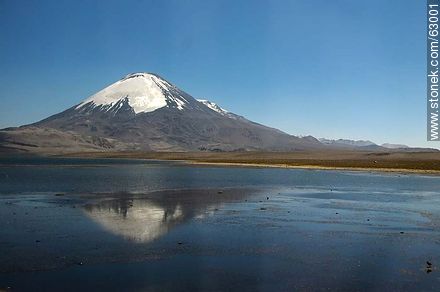 Snowy Volcano Parinacota and Lake Chungará - Chile - Others in SOUTH AMERICA. Photo #63001