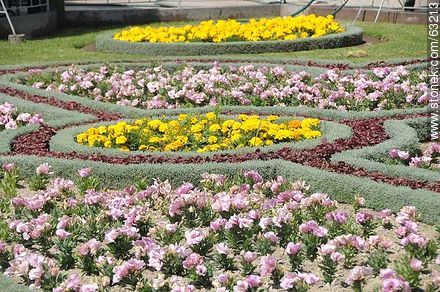 Garden flowerbeds Paseo Civico - Perú - Others in SOUTH AMERICA. Photo #63213