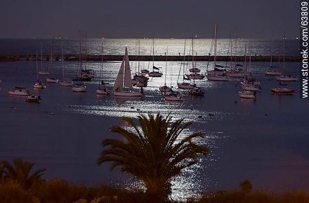 Puerto del Buceo lit by moonlight - Department of Montevideo - URUGUAY. Photo #63809