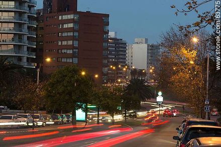 26 de Marzo Avenue eastward - Department of Montevideo - URUGUAY. Photo #63775