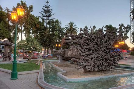 Quillota Square at sunset. Art in the root of a fallen tree - Chile - Others in SOUTH AMERICA. Photo #63939