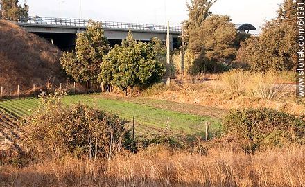 Junction Bridge with Road San Isidro-Quillota - Chile - Others in SOUTH AMERICA. Photo #64391