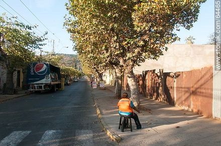 Calle de Limache - Chile - Otros AMÉRICA del SUR. Foto No. 64465