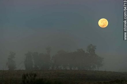 Full moon on the field at sunrise -  - MORE IMAGES. Photo #64713
