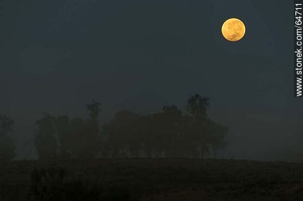 Full moon on the field at sunrise -  - MORE IMAGES. Photo #64711