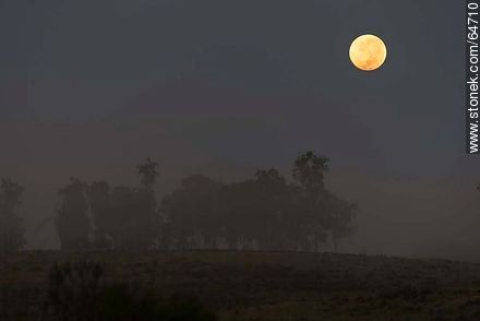 Full moon on the field at sunrise -  - MORE IMAGES. Photo #64710