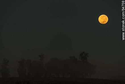 Full moon on the field at sunrise -  - MORE IMAGES. Photo #64708