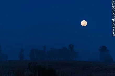 Full moon on the field at sunrise -  - MORE IMAGES. Photo #64707