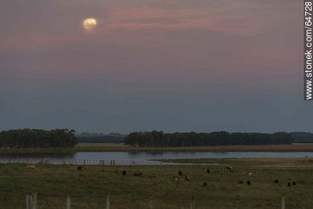 Full moon in the field at sunset -  - URUGUAY. Photo #64728