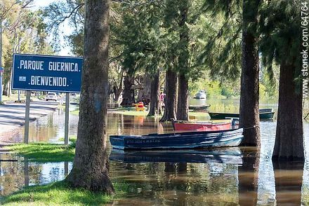 Río Negro muy crecido. Parque Guernica - Departamento de Soriano - URUGUAY. Foto No. 64764
