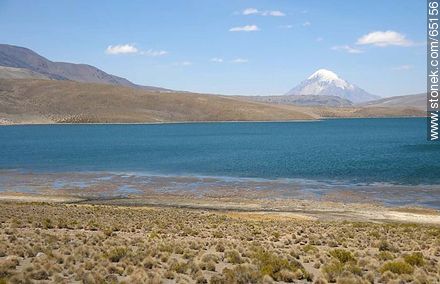 Lago Chungará. Volcán Sajama en Bolivia - Chile - Otros AMÉRICA del SUR. Foto No. 65156