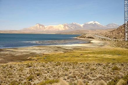 Chungará Lake. Nevados de Quimsachata - Chile - Others in SOUTH AMERICA. Photo #65158