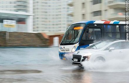Car and bus circulating on the flooded promenade - Punta del Este and its near resorts - URUGUAY. Photo #65305