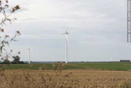 Wind farm Artilleros - Department of Colonia - URUGUAY. Photo #65489