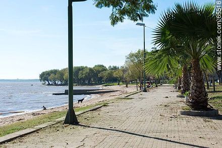 Beach and park in Nueva Palmira - Department of Colonia - URUGUAY. Photo #65516