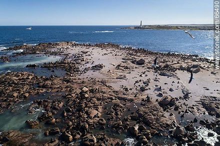 Vista aérea de la Isla Rasa y su colonia de lobos marinos - Departamento de Rocha - URUGUAY. Foto No. 66490