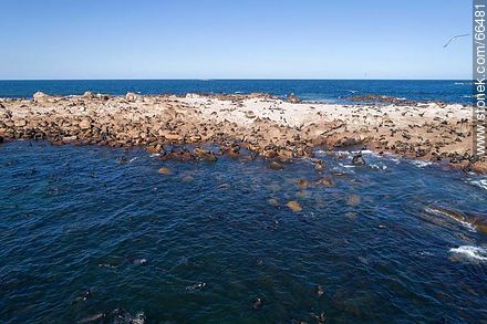Aerial view of Isla Rasa and its sea lion colony - Department of Rocha - URUGUAY. Photo #66481