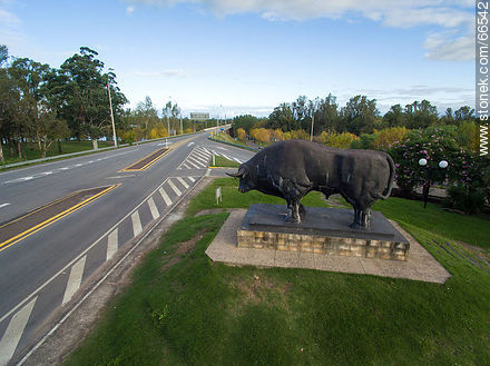 Aerial view of the bull and route 5 to the south - Tacuarembo - URUGUAY. Photo #66542