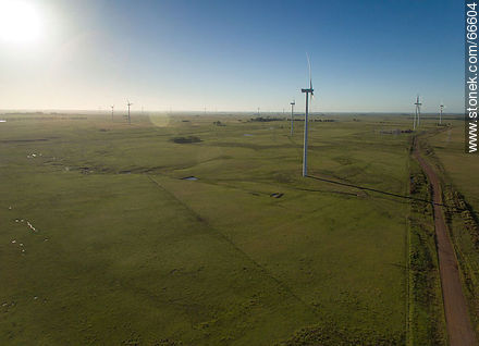 Aerial view of fields dedicated to wind energy - Tacuarembo - URUGUAY. Photo #66604