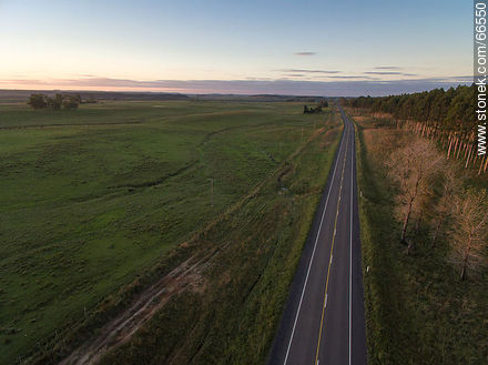 Aerial view of Route 5 at sunset - Tacuarembo - URUGUAY. Photo #66550