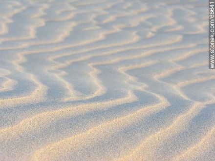 The softness of the sand waves in the dunes -  - MORE IMAGES. Photo #66641