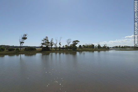Islet in Maldonado Creek - Department of Maldonado - URUGUAY. Photo #66688