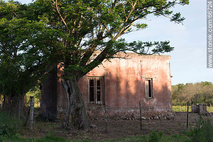 Casa modesta en el campo - Departamento de Colonia - URUGUAY. Foto No. 66724