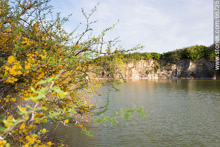 Cerro Carmelo quarry - Department of Colonia - URUGUAY. Photo #66735