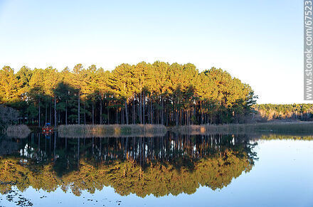 Reflejo del paisaje de árboles en el lago de OSE - Departamento de Lavalleja - URUGUAY. Foto No. 67523
