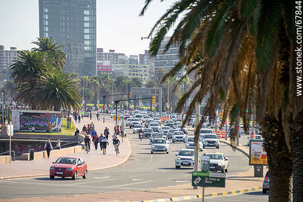 Transit on Wilson Boulevard - Department of Montevideo - URUGUAY. Photo #67844