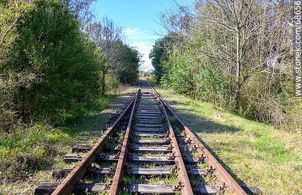 Change of railway - Department of Canelones - URUGUAY. Photo #68656