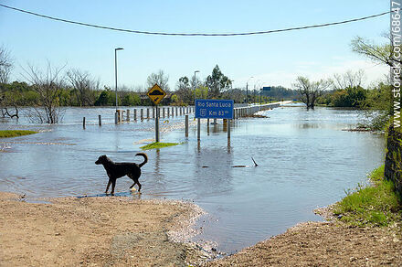 Ruta 11 inundada por crecida del río Santa Lucía - Departamento de Canelones - URUGUAY. Foto No. 68647