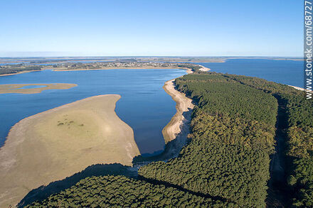 Aerial view of pine forests and beaches of San Gregorio de Polanco - Tacuarembo - URUGUAY. Photo #68727