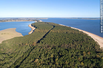 Aerial view of pine forests and beaches of San Gregorio de Polanco - Tacuarembo - URUGUAY. Photo #68733