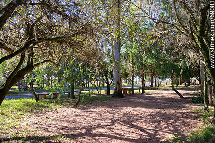 Área de descanso - Departamento de Durazno - URUGUAY. Foto No. 69081