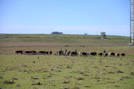 Arriando ganado vacuno - Departamento de Durazno - URUGUAY. Foto No. 69218
