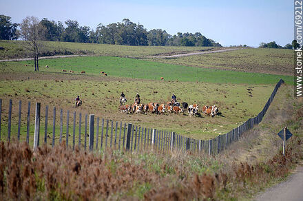Arriando ganado vacuno - Departamento de Durazno - URUGUAY. Foto No. 69212