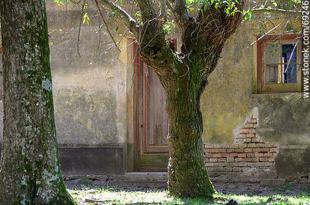 Antigua casa abandonada en el campo - Departamento de Durazno - URUGUAY. Foto No. 69246