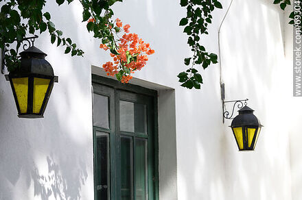Lanterns and bougainvilleas - Department of Colonia - URUGUAY. Photo #69304