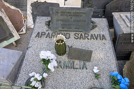 Cementerio. Panteón de Aparicio Saravia - Departamento de Treinta y Tres - URUGUAY. Foto No. 70023